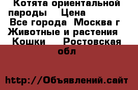 Котята ориентальной пароды  › Цена ­ 12 000 - Все города, Москва г. Животные и растения » Кошки   . Ростовская обл.